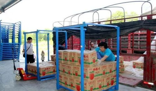 永州嘉信冷鏈倉儲物流中心正式開業，助推區域物流體系升級